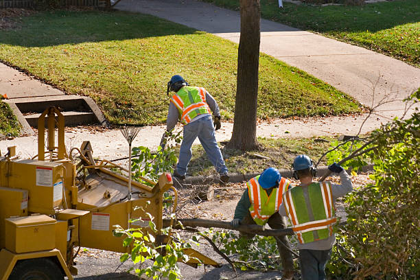 Best Lawn Pest Prevention  in Sioux Falls, SD